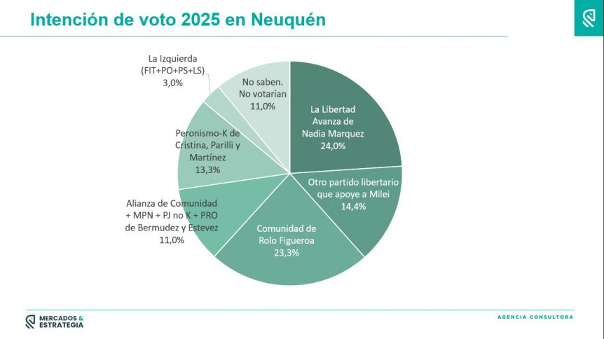 Encuesta de intención de voto 2025 en Neuquén - octubre 2024